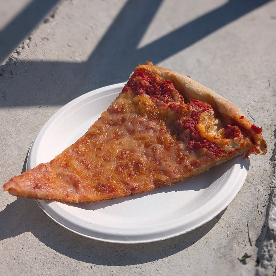slice of cheeze pizza